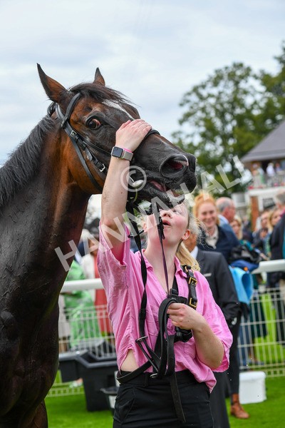 240823-Race 3-Ropey Guest-0433 - Race 3 3.00pm Clipper Handicap