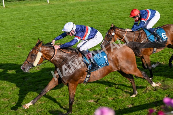 240824-Race 7-Sir Busker-2003 - Race 7 5.20pm Sky Bet Finale Handicap