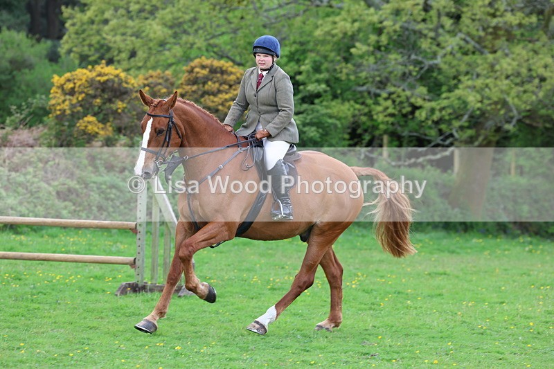 3E7A2587 - Classes 30 and 31: 80cm Working Hunter