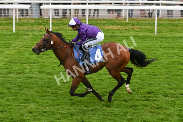 yr22052022r2-12 - Race 2: 4:00pm Sky Bet Sunday Series EBF Novice Stakes
