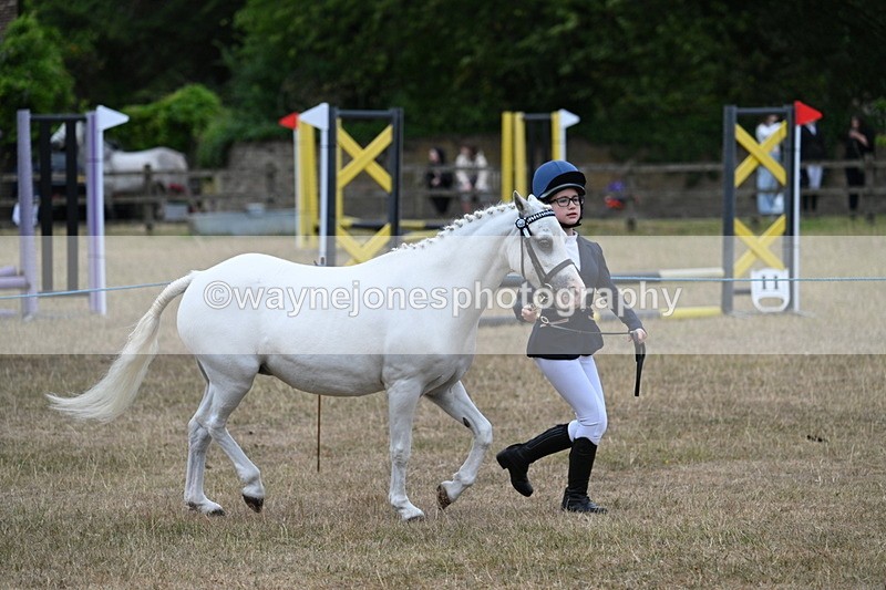 WJ7_8332 - Class 4 Prettiest Mare up to 14.2hh