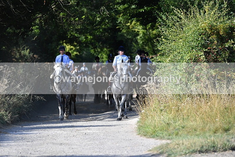 WJ5_4850 - Walk out with the hounds