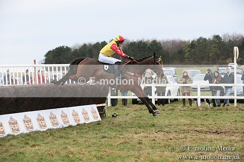 PtP 060119 484 - Larkhill Racing Club - Point-to-Point- 06/01/2019