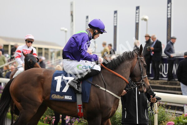 yr07102022r2-6 - Race 2 2.40pm William Hill Autumn Mile