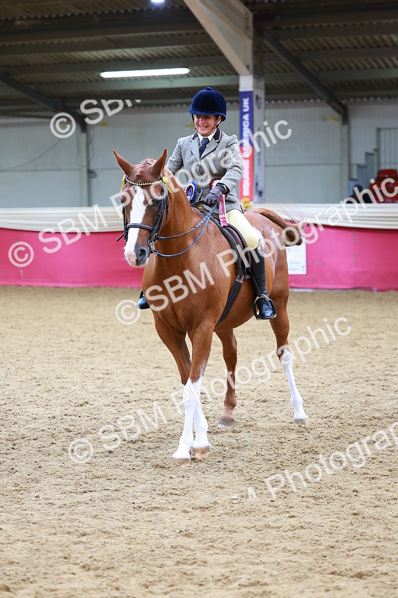 SBM_00847 - Class 6A - Ridden Pre-Vet