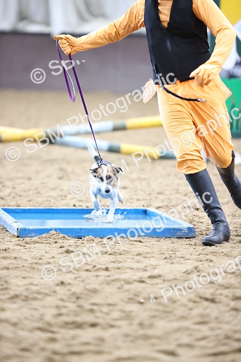 SBM_001239 - Class 3 - Horse & Hound 60cm