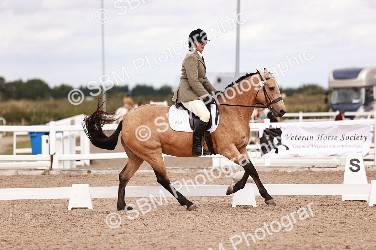 SBM_06333 - Class 37 - Novice 5