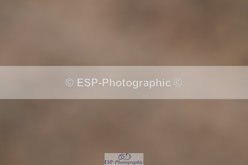 250621-165304-12184 - Cls 35 - Adv Medium 5, Start to 17.20