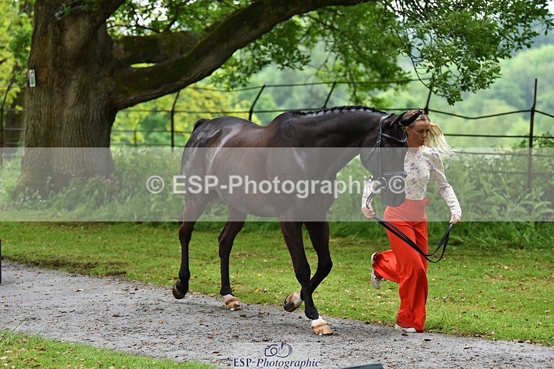 240522-162610-00915 - 206-SINGING_USK-Saskia_Davies