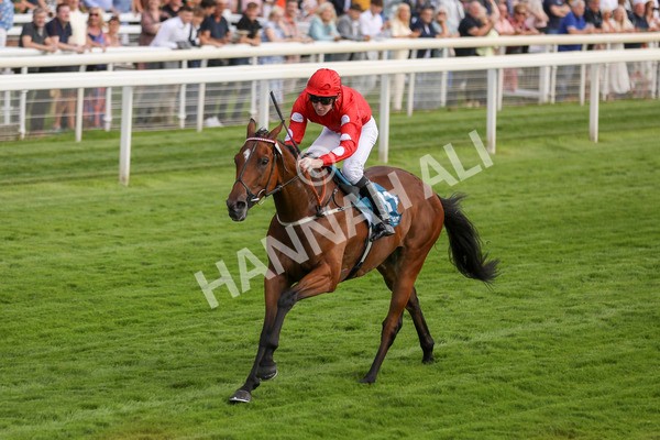 280723-Race 1-Tele Red-2669 - Race 1 5.00pm Pearly Cow Handicap