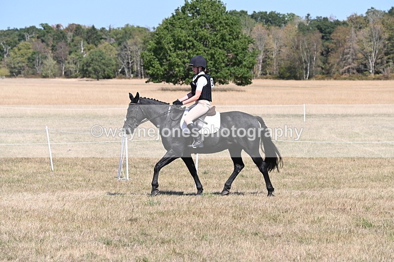 WJ6_8822 - Class 38 Ridden Riding Horse/Pony
