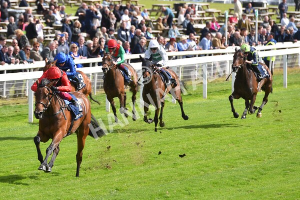 yr11052022r4-33 - Race 4 3.35pm Tattersalls Musidora Stakes