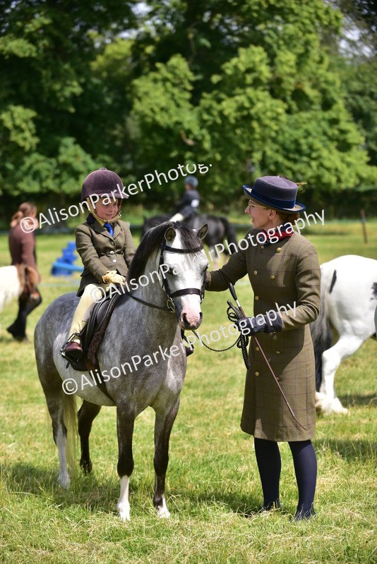 20260614-1282 - Class 11a - Lead Rein Pony (Unplaited)