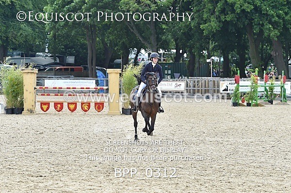 BPP_0312 - RHS 2019 Selection - *Just some random spectator shots so Lucky Dip if you are there!