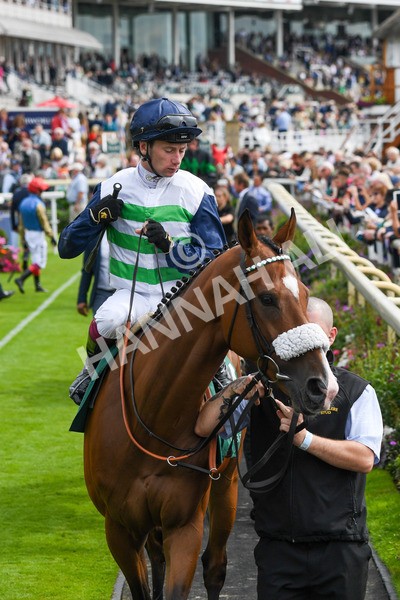 250823-Race 2-Coltrane-0192 - Race 2 2.25pm Weatherbys Hamilton Lonsdale Cup Stakes