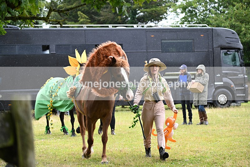 WJ6_9046 - Class 11 Fancy Dress