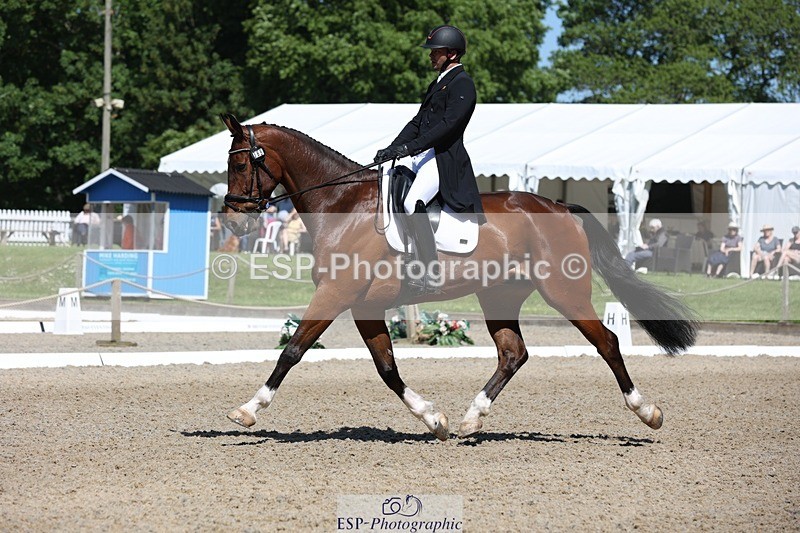 230526-105342-05339 - 365-BWE_NEWTON_DE_JASPER-Adam_Harvey-WEDTrotUp+DR