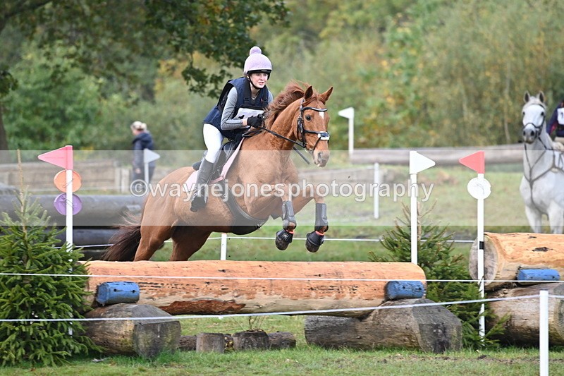 WJ6_1884 - 80cm Cam 1 Time 10:08 to 10:45