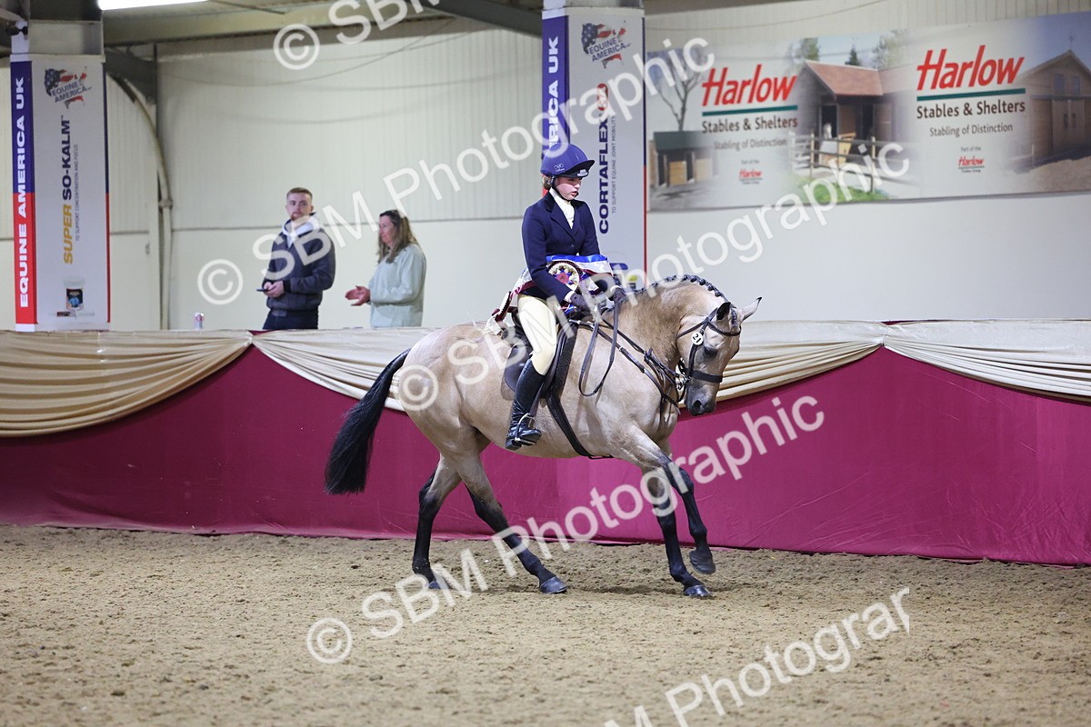 0B8A4610 - Class Q Style & Performance Champ