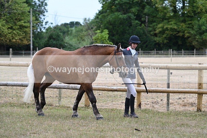 WJ7_8899 - Class 4a Prettiest Mare 14.2hh and over