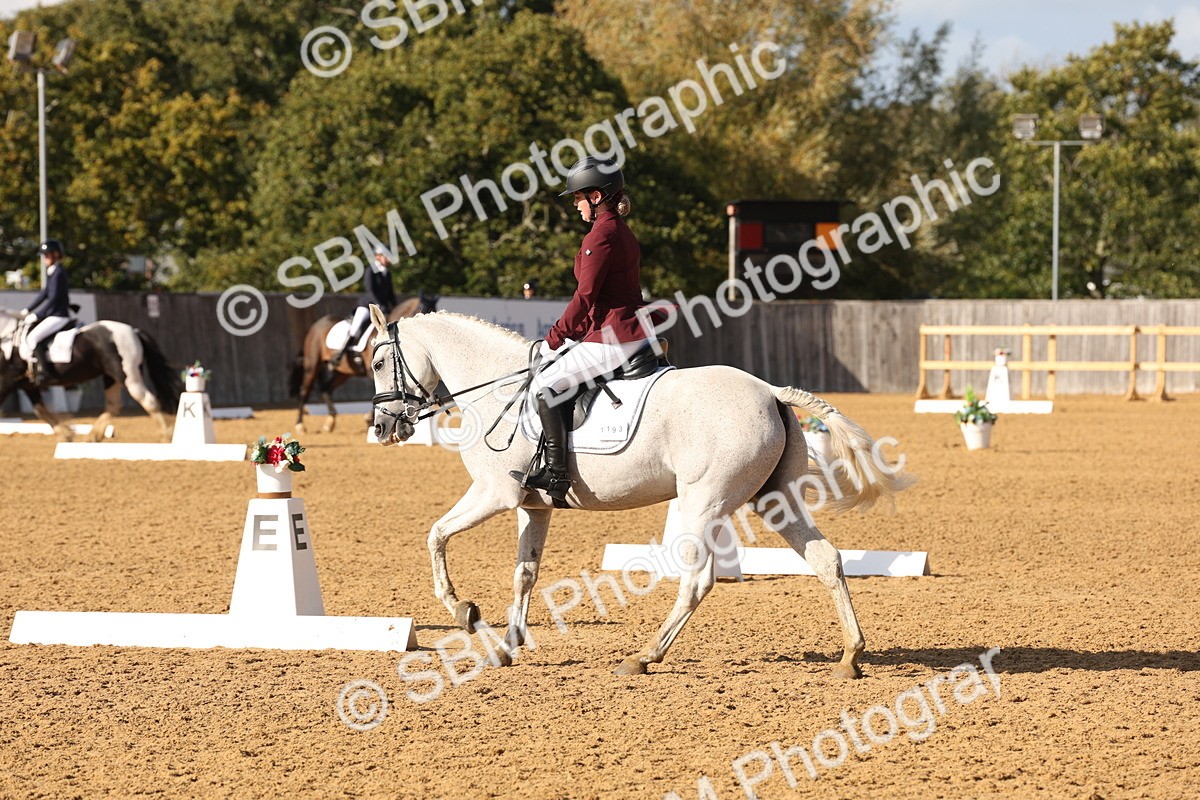 SBM_50468 - D12 - Small Tour Championship prelim 2