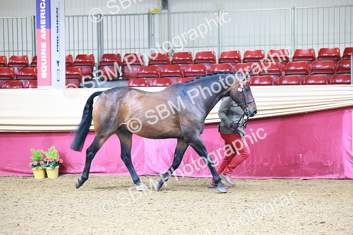 SBM_21642 - Class 901 - Supreme Final - IH  Diamond