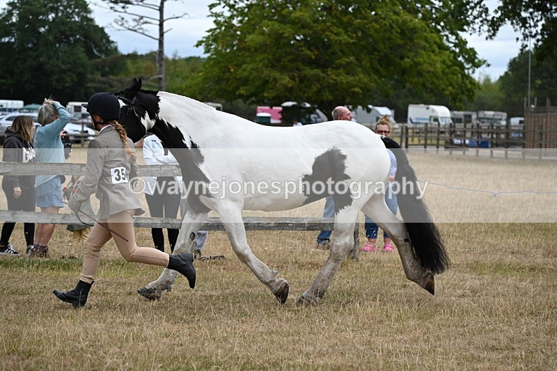 WJ6_8390 - Class 10 Coloured in Hand