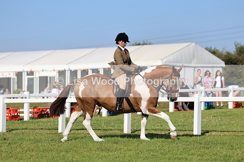 IMG_1437 - Class 29:  Ridden Native/Trad Coloured Horse