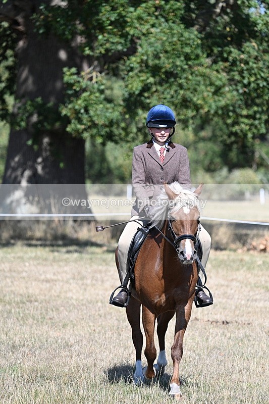 WJ7_3996 - Class 9 Mountain & Moorland Ridden