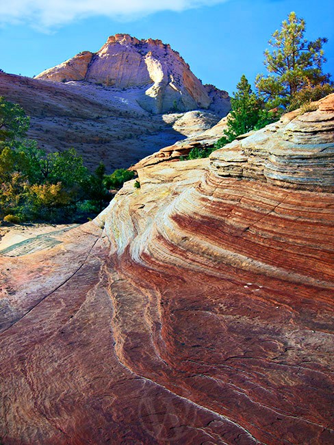 Zion National Park Utah USA - Land