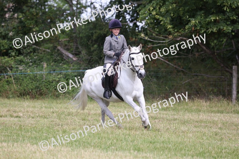 20260614-0555 - Class 20 - Beginners Working Hunter Pony
