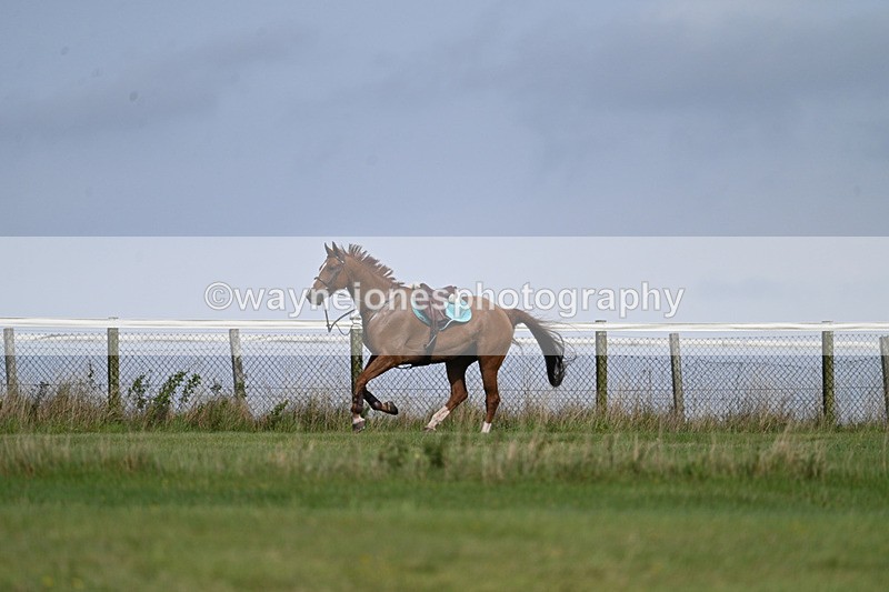 WJ7_7524 - Time 13:21 to 13:29