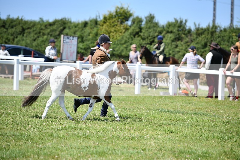 DSC_7802 - Class 64: Coloured Pony 4yrs & over