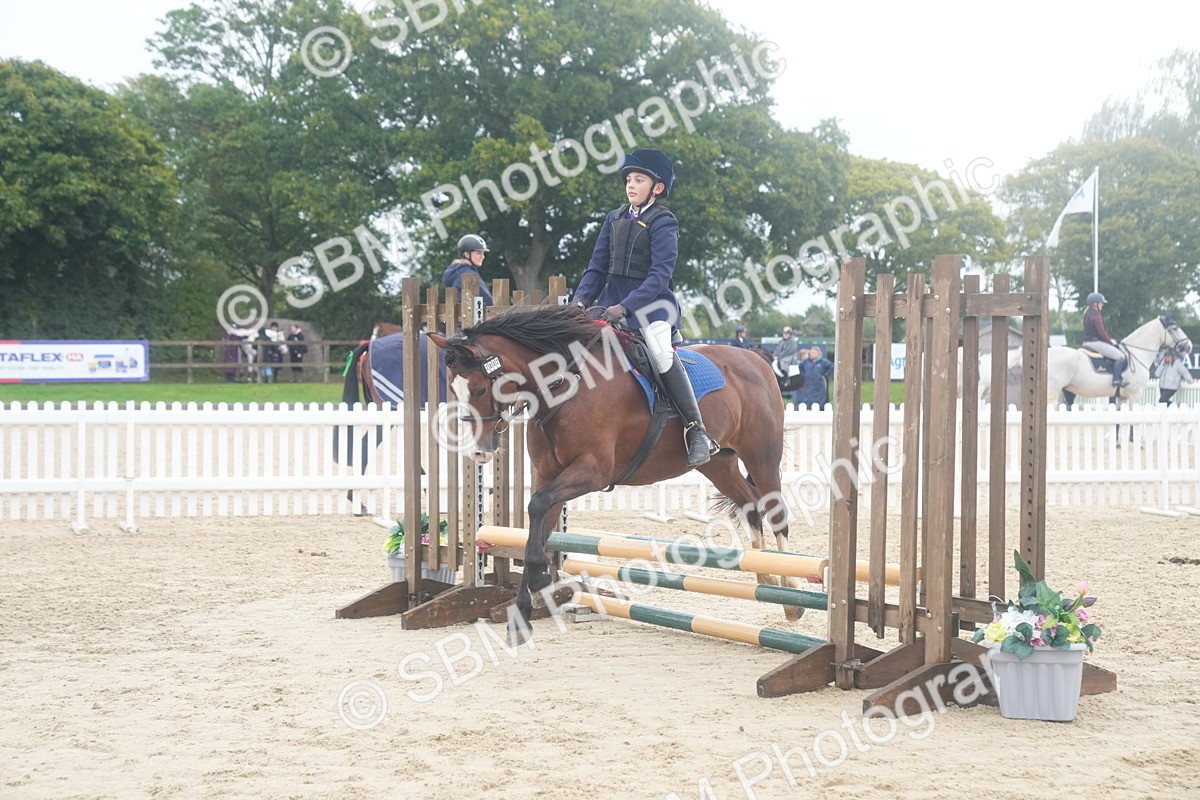 SBM_01895 - J54 - Clear Round 50cm