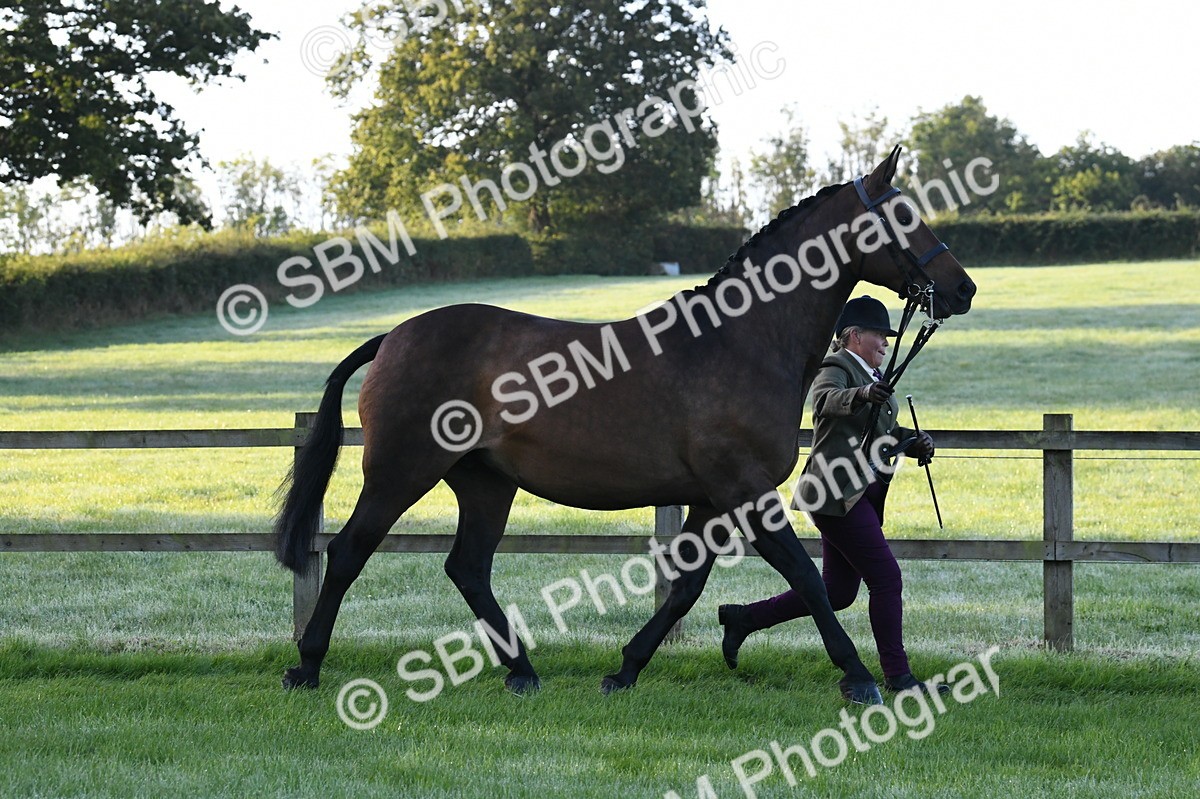 SBM_32589 - S15 - Condition & Turnout In Hand