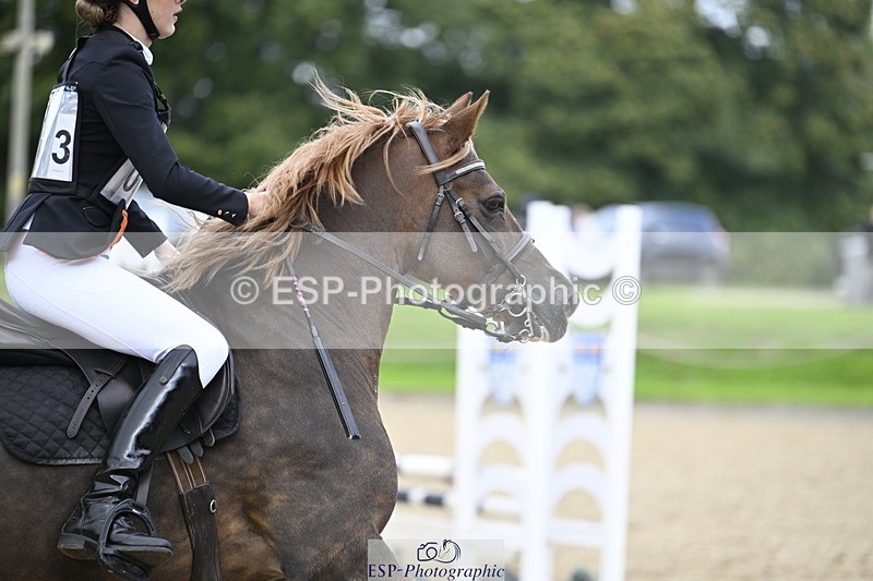 251005A-130331-04030 - Cls 08 Mini 70-75cm