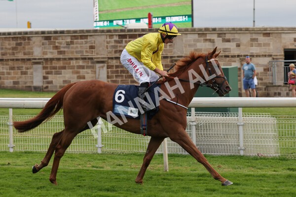 yr23072021r4-18 - Race 4 7.30pm British Stallion Studs EBF Lyric Fillies' Stakes