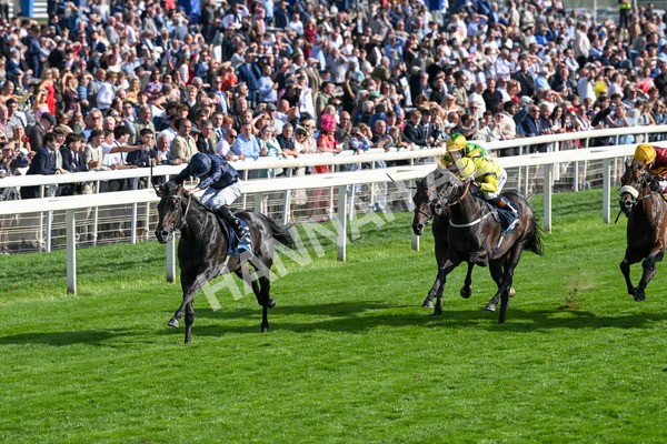 220825-Race 6-Frescobaldi-7738 - Race 6 4.45pm British Stallion Studs EBF Convivial Maiden Stakes