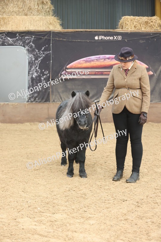 20251109-0051 - Class 3 - 2 and 3 Year Old