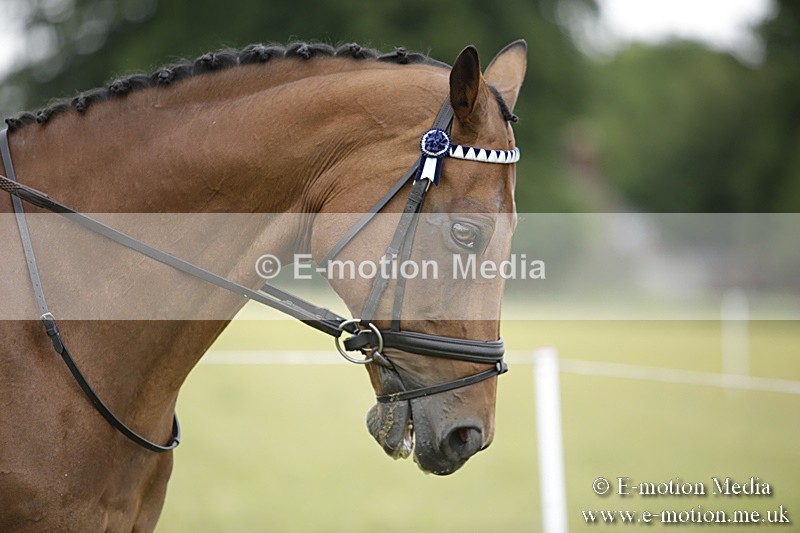 BVR160717-485 - Ring 1 BVRC Show 16/07/17