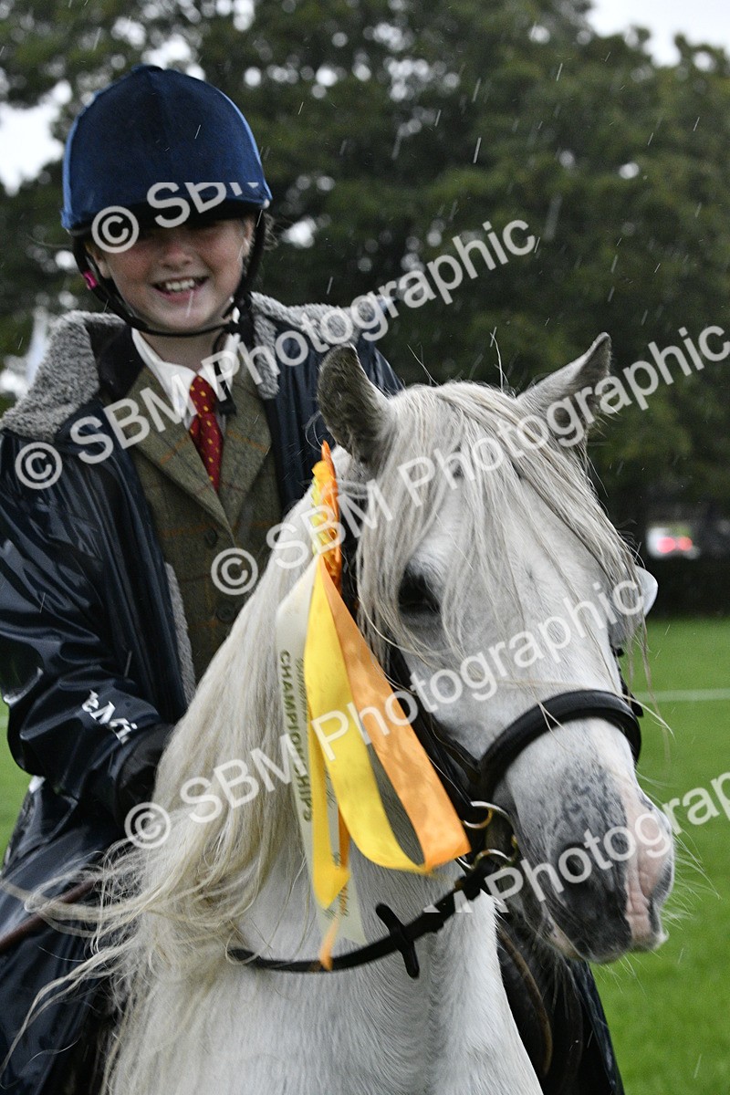 SBM_35617 - S30 - Nursery Stakes Working Hunter Pony