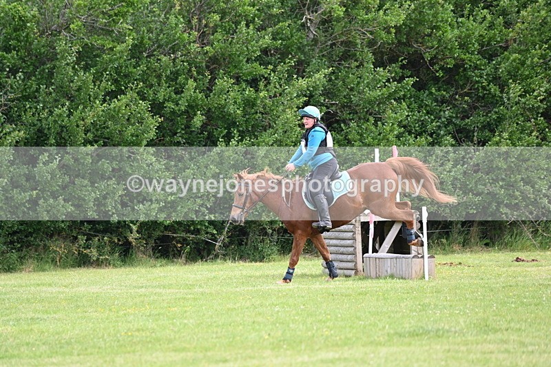 WJ6_2231 - Class 2 40cm