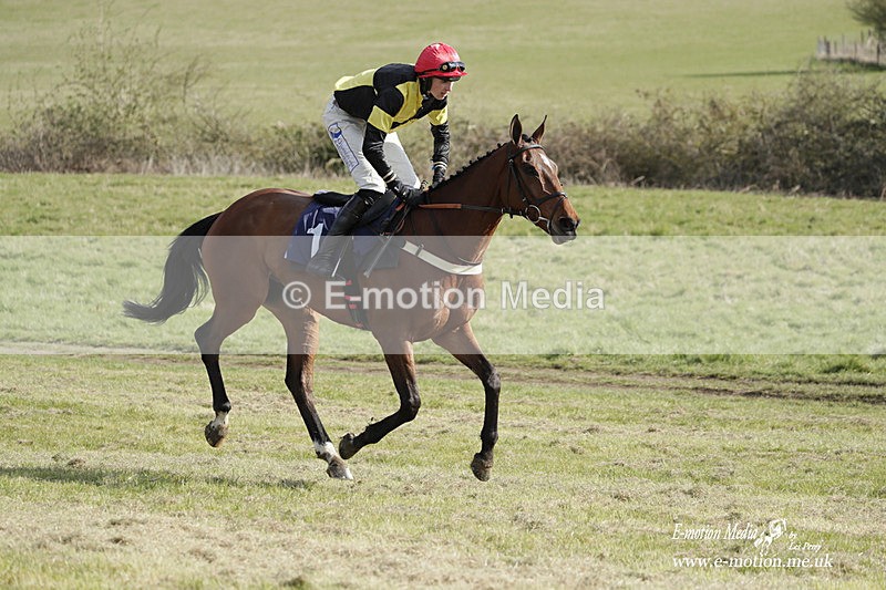 PtP 080423 632 - Dingley Races The Woodland Pytchley Hunt PtP 08/04/23