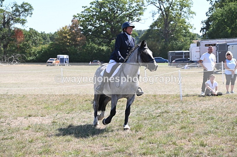 WJ6_8897 - Class 38 Ridden Riding Horse/Pony