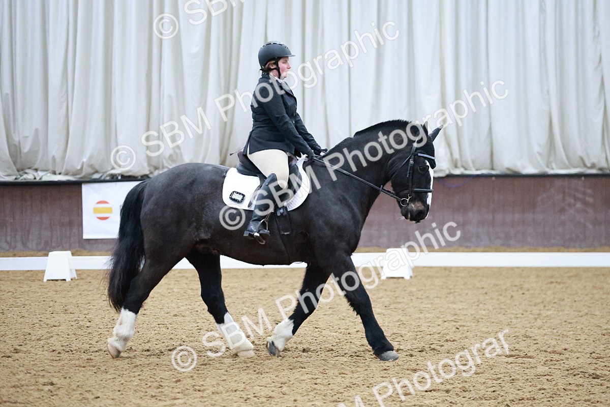 SBM_000155 - Class 17-6-18 - TQ U21 Novice 3Novice 3-MQ Open Prelim 1