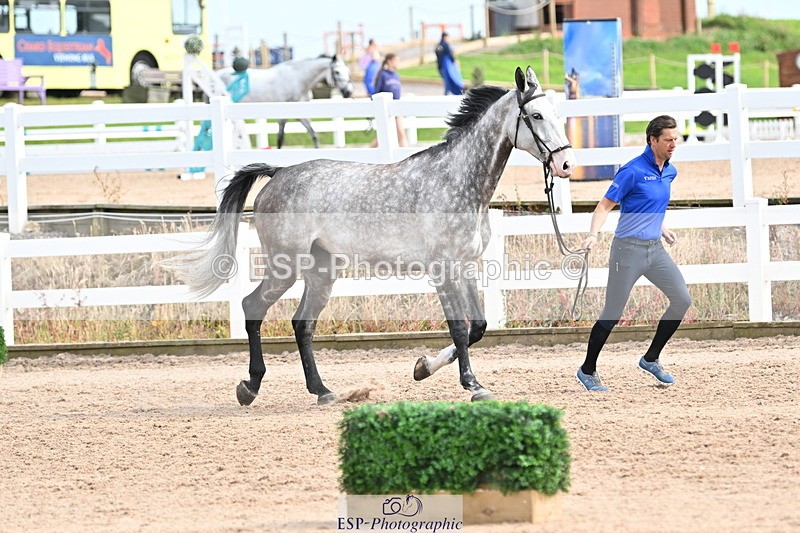 240717A-164233-03483 - Trot Up 4pm to 5pm