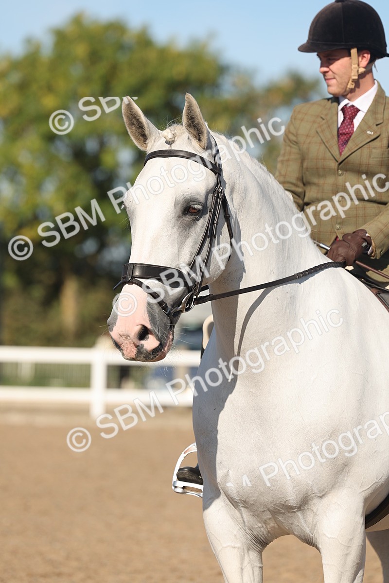 SBM_12240 - Class 303 - Ridden Pure Bred Horse Pony