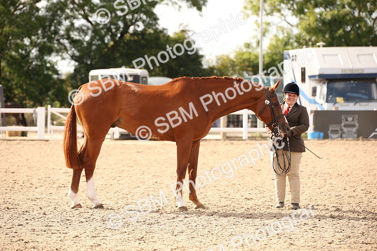 SBM_08160 - Class 27 - IH Competition Horse-Pony