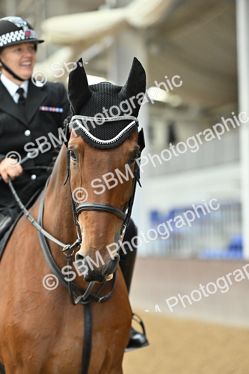 SBM_003319 - Class 53 - 60cm Restricted