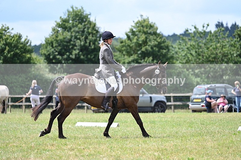 WJ7_4866 - Time 11:22 to 11:51